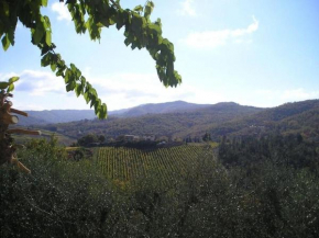 Un piccolo Paradiso nel Chianti più selvaggio, Greve In Chianti